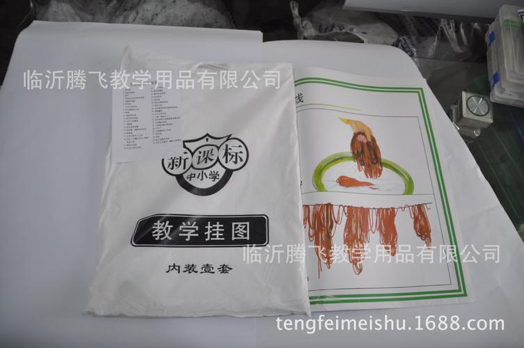 中小學美術欣賞掛圖24幅 教育配送下的美術教學新助力
